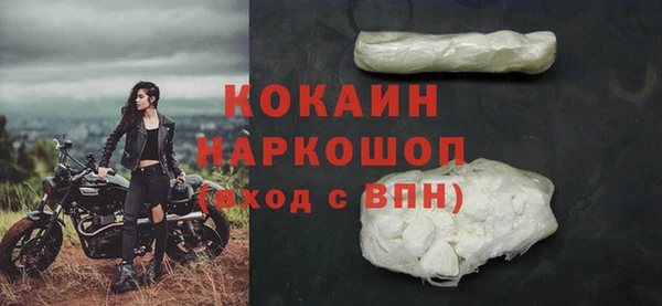 ГАЛЛЮЦИНОГЕННЫЕ ГРИБЫ Вяземский