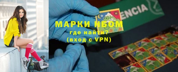 стаф Вязники
