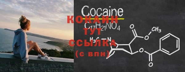 мдпв Вязьма