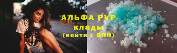 ГАЛЛЮЦИНОГЕННЫЕ ГРИБЫ Вяземский