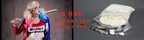 ГАЛЛЮЦИНОГЕННЫЕ ГРИБЫ Вяземский