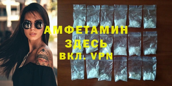 ГАЛЛЮЦИНОГЕННЫЕ ГРИБЫ Вяземский