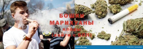 ГАЛЛЮЦИНОГЕННЫЕ ГРИБЫ Вяземский