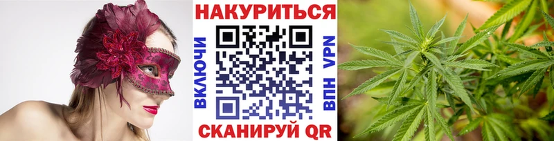где можно купить   darknet какой сайт  Бошки марихуана ГИДРОПОН  Дмитриев 